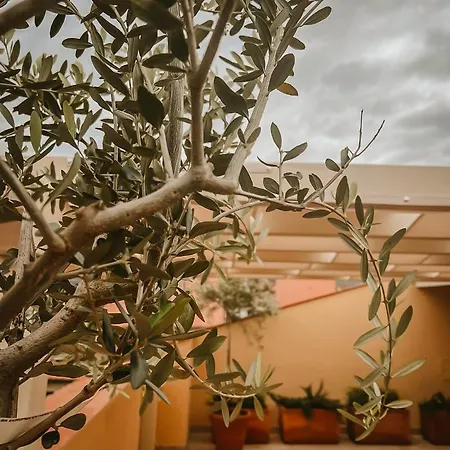 La Mansarda Degli Ulivi Апартаменты *