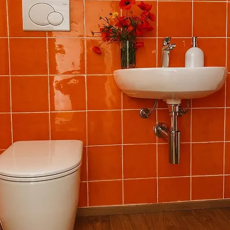 La Mansarda Degli Ulivi * Портоферрайо