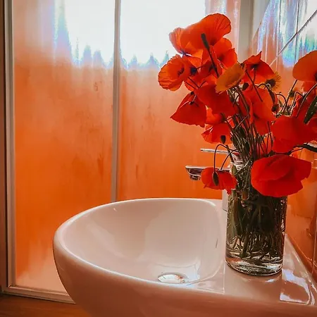 La Mansarda Degli Ulivi