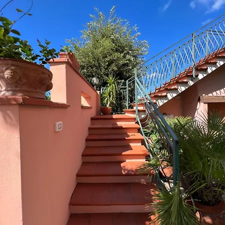 La Mansarda Degli Ulivi 公寓 *
